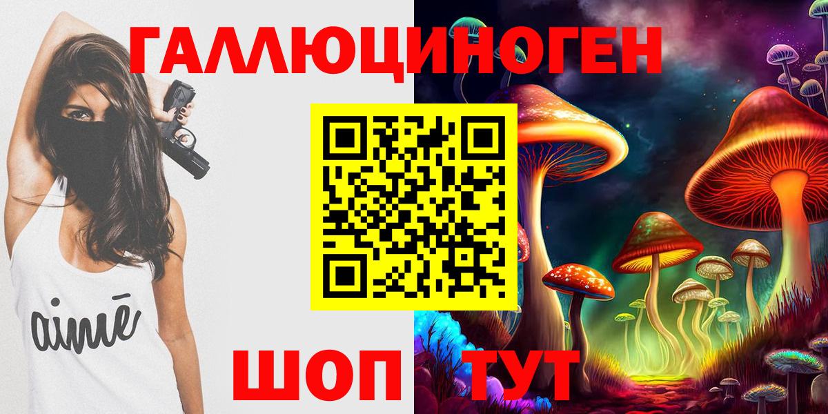 Псилоцибиновые грибы мицелий Биробиджан
