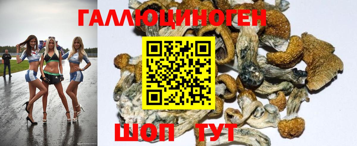 Галлюциногенные грибы мицелий  Вход с VPN  Биробиджан 
